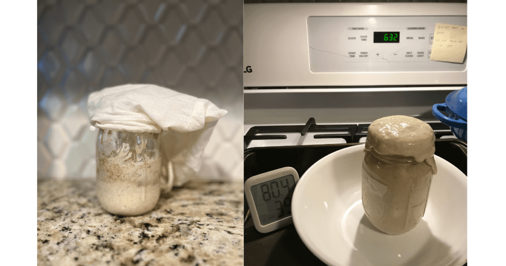 Two pictures of sourdough starter in front of oven