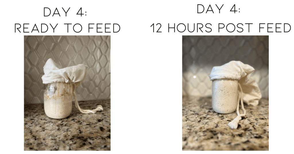 Two pictures of sourdough starter with time stamps above