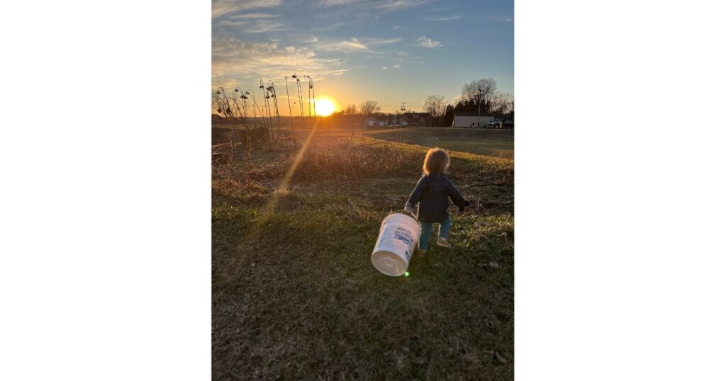Sunset with sunflowers and child holding white bin