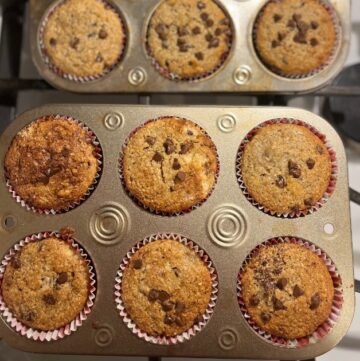 9 sourdough muffins within muffin tin. Topped with mini chocolate chips.