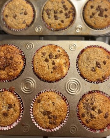 9 sourdough muffins within muffin tin. Topped with mini chocolate chips.