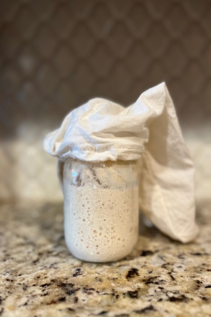 Sourdough starter countertop