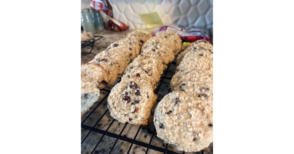 Three rows of sourdough oatmeal cookies