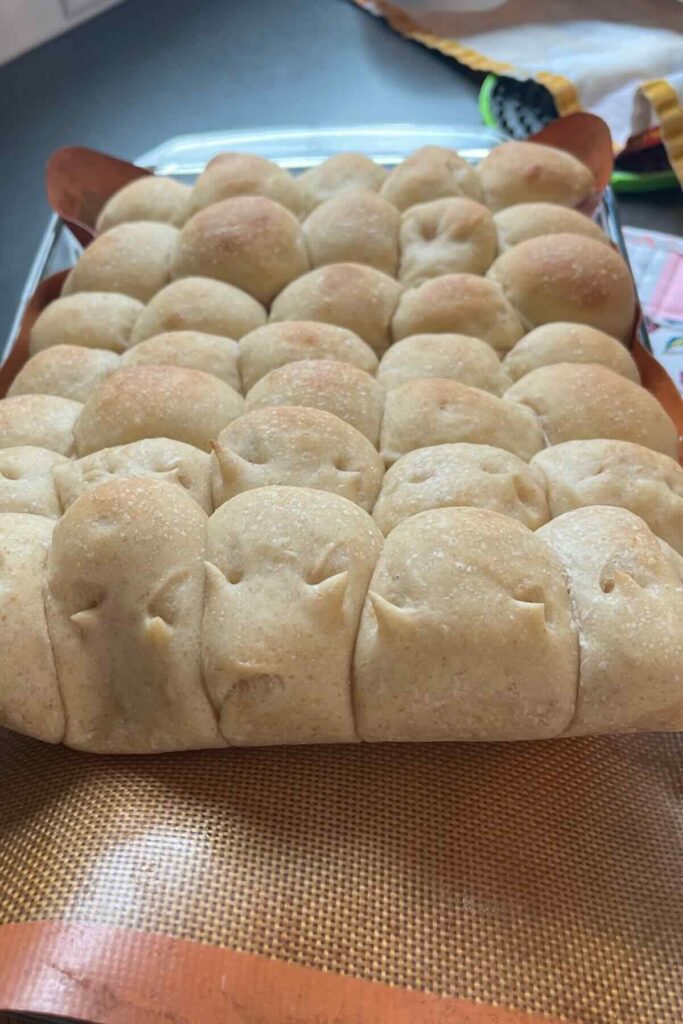 sourdough hawaiian roll cats.