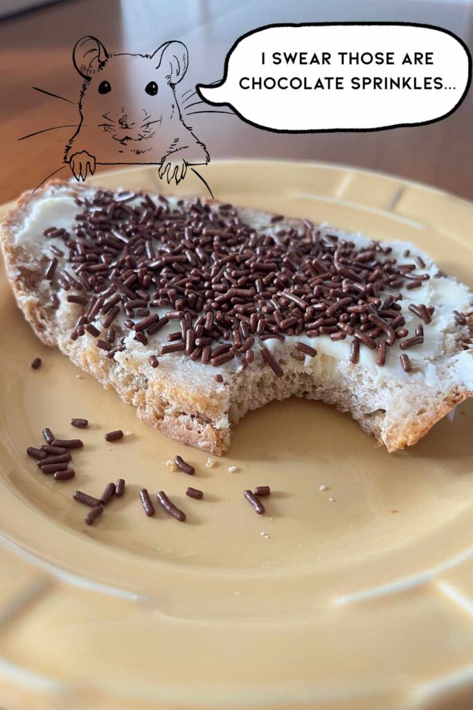 mouse with text above sourdough hagelslag sandwich