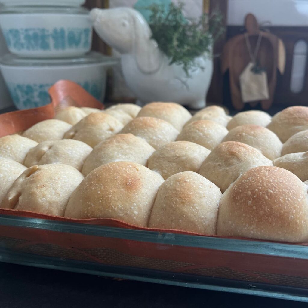 sourdough discard hawaiian rolls in container with plant in background.