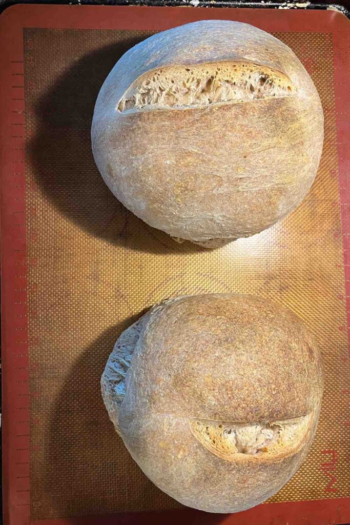 two cooked sourdough rye loaves on a sheet pan.