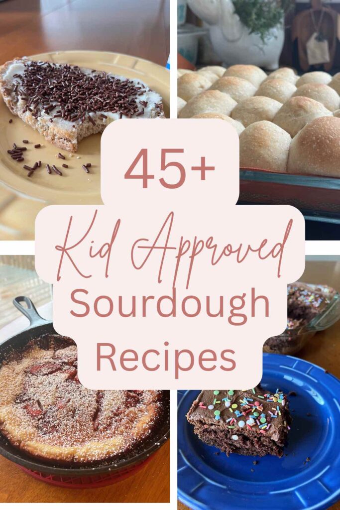 kid approved sourdough recipes with four sourdough recipes in back.