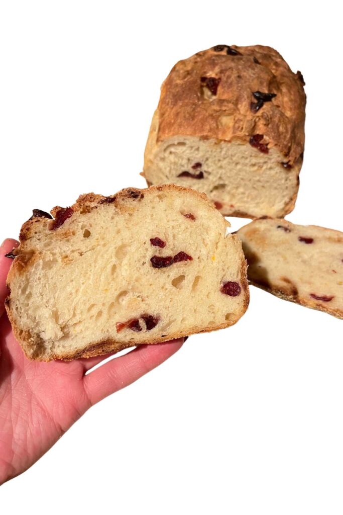 two slices of bread with cranberry.