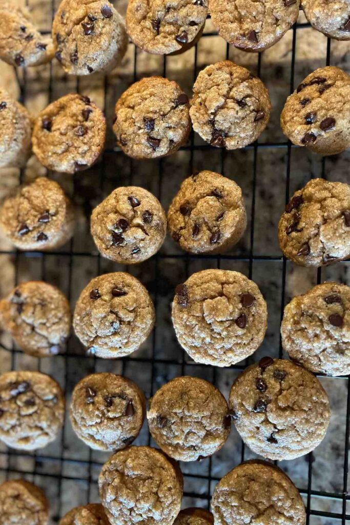 sourdough banana chocolate chip mini muffins on cooling rack.