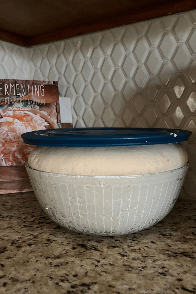 bread dough popping out of bowl