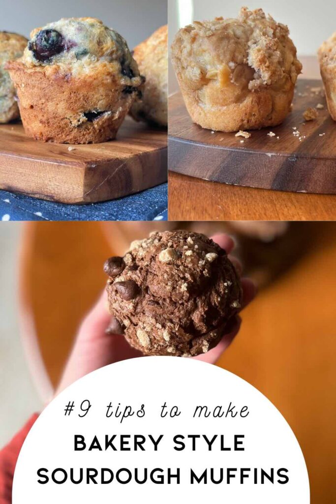 three sourdough muffins with text on bottom describing muffins.