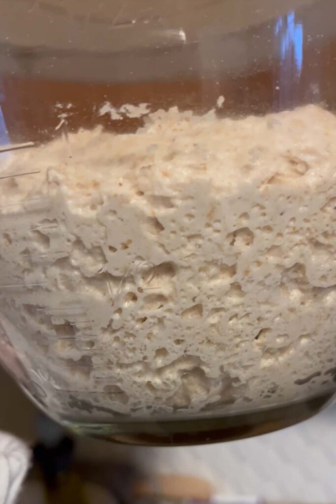 sourdough bulk fermentation