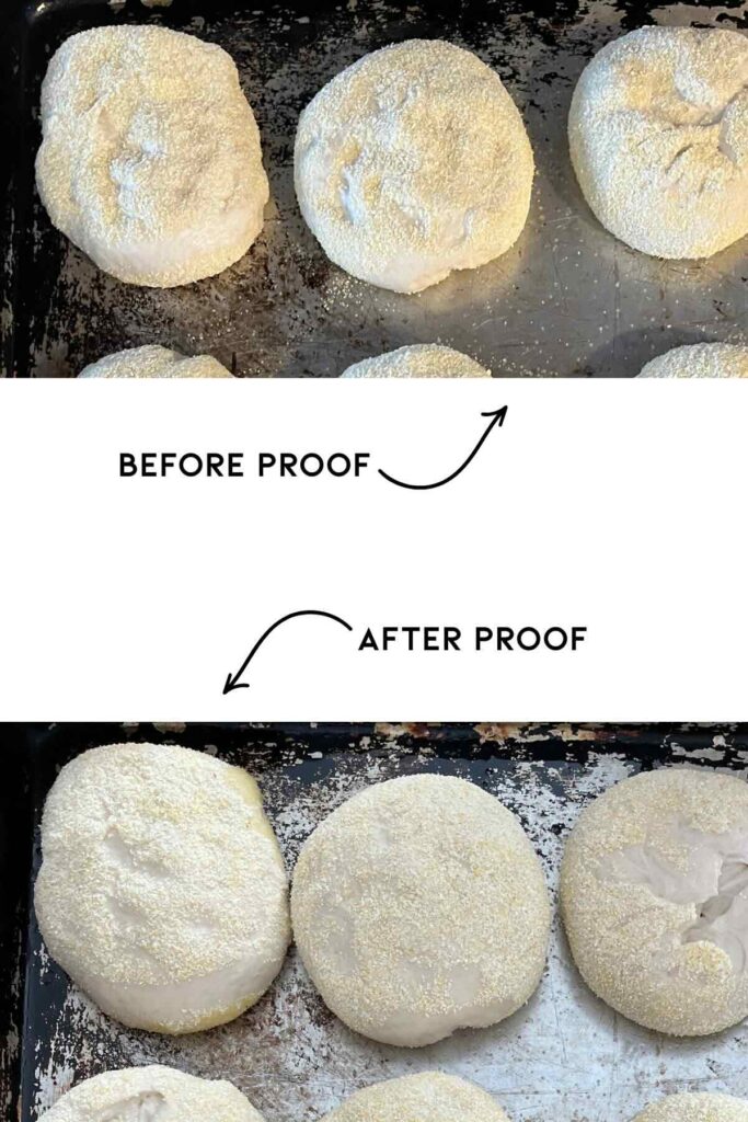 second proof sourdough English muffin.