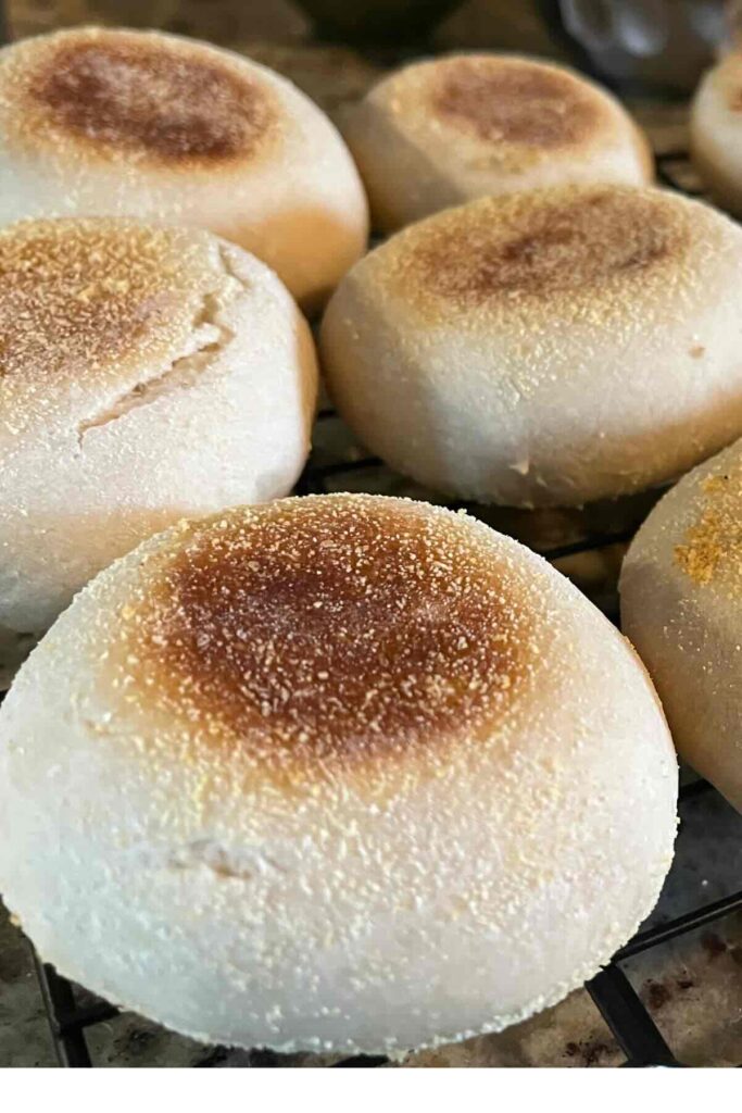 sourdough English muffin.