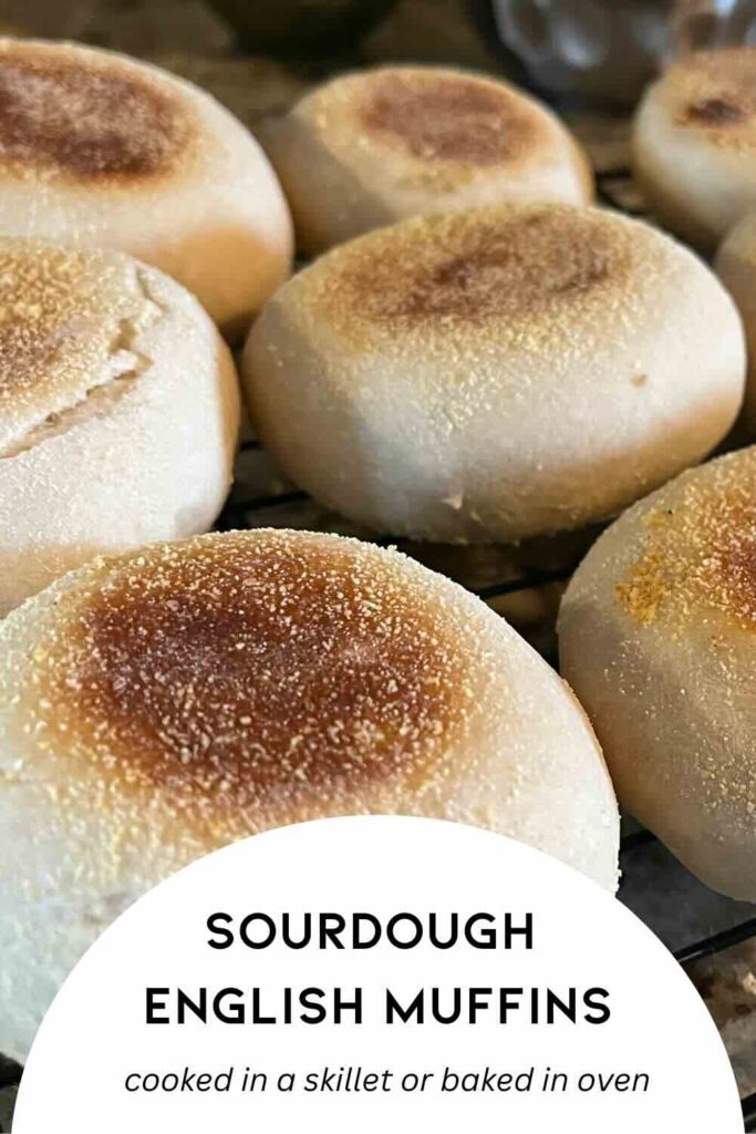 sourdough English muffins with text describing how to cook.