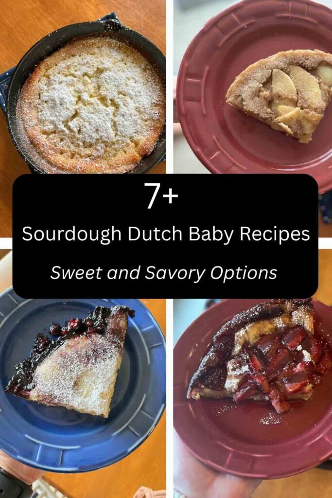 sourdough dutch baby variations with text describing flavors.