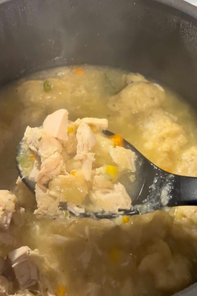 chicken and vegetables with dumplings in a pot.