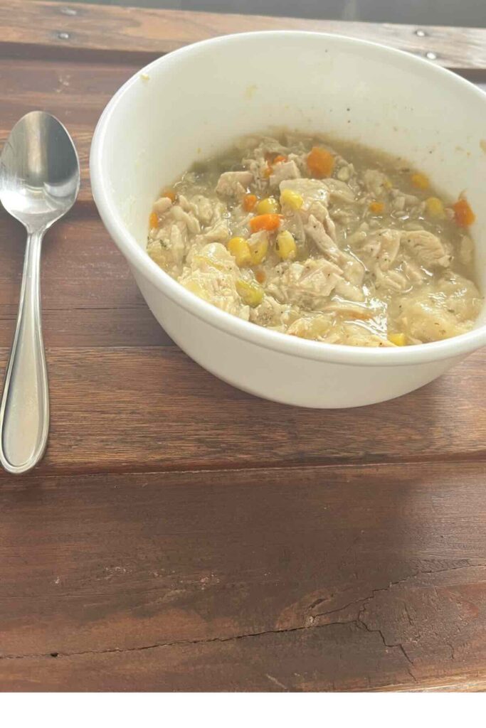 chicken and sourdough fresh milled flour dumplings in a bowl.
