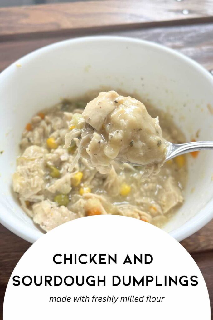 chicken and sourdough dumplings with text in front.