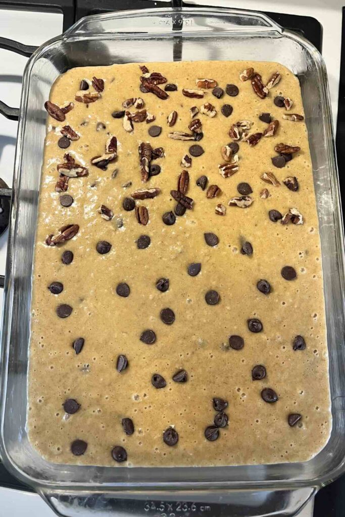 oatmeal cake batter with chocolate chips and pecans.