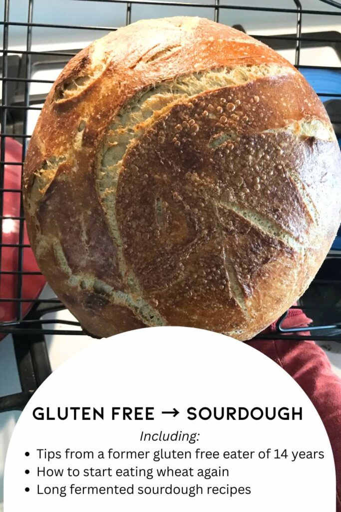 gluten free to sourdough with text.