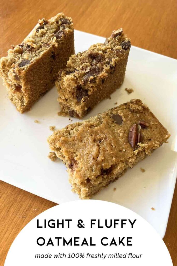 whole wheat oatmeal cake bars on a white plate.