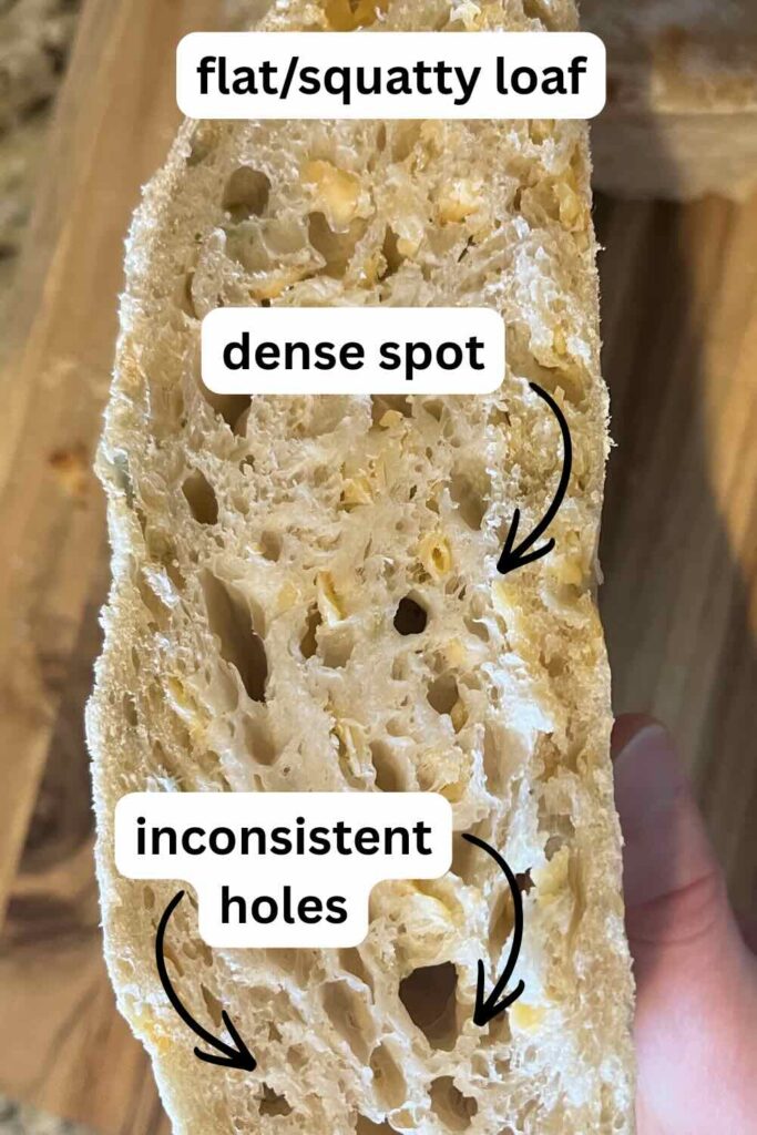 slice of bread with labels describing.