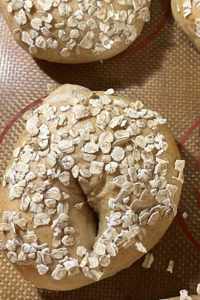 Honey oat sourdough bagel.