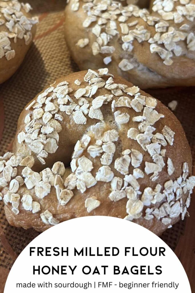 Honey oat sourdough bagel with text.