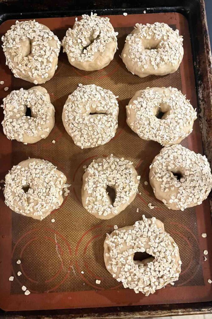 Honey oat sourdough bagels.