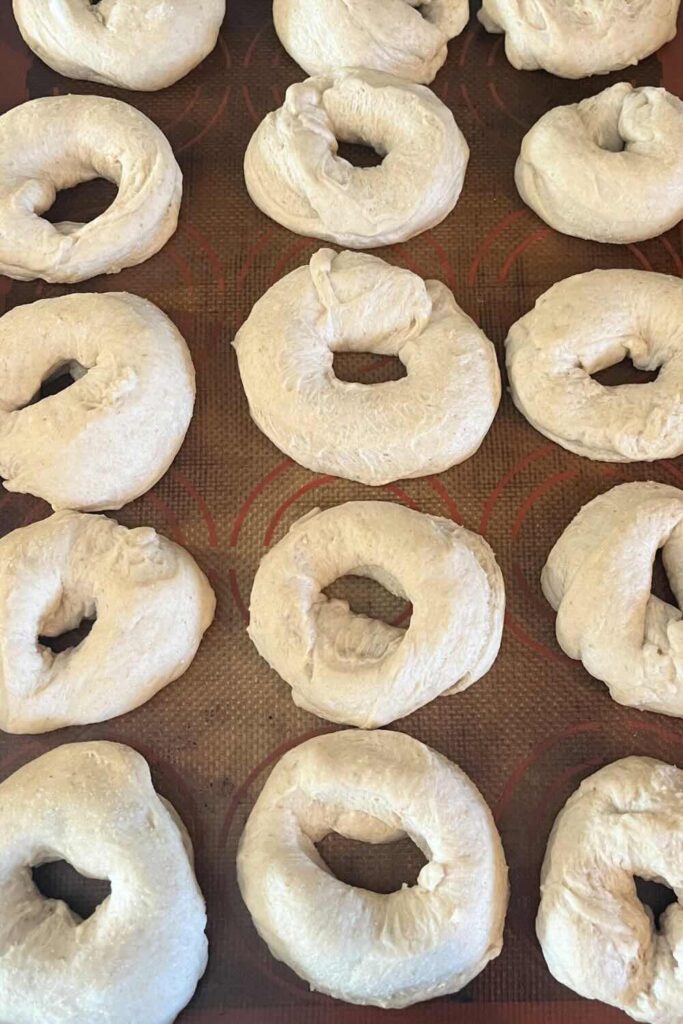 Proof sourdough honey oat bagels.