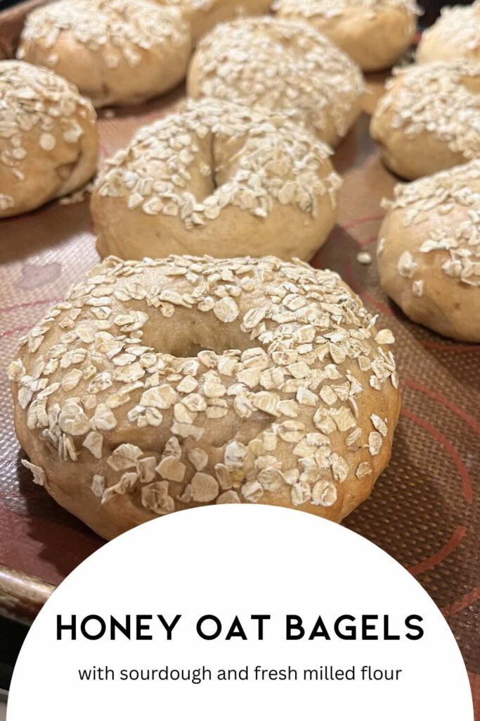 Honey oat sourdough bagels on a try.