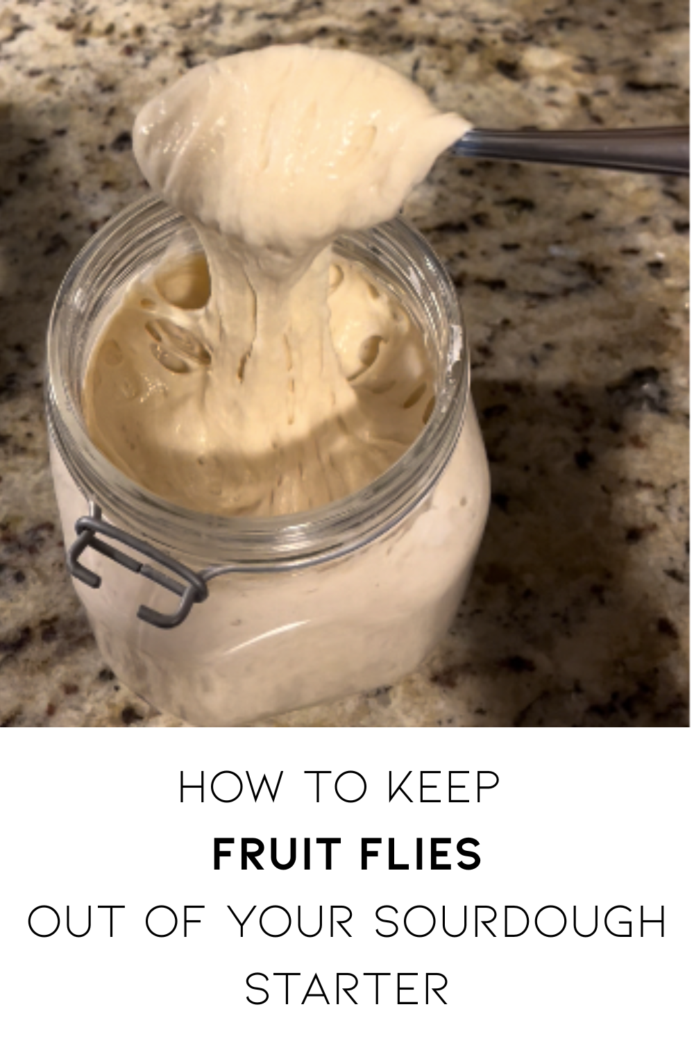 sourdough starter with text on bottom.